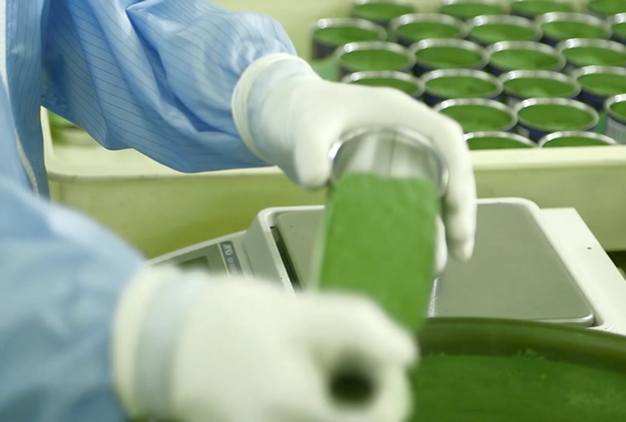 京都工場・抹茶の製造補助(製造課)